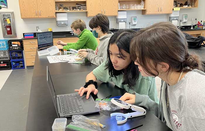 Hawbridge students learning in a classroom.